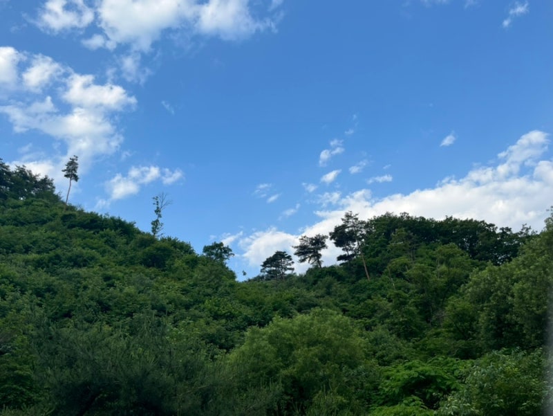 사진 5