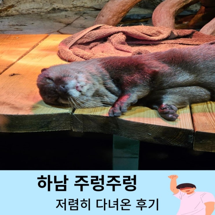 하남 주렁주렁 저렴하게 놀러가는 정보~ 다녀온 후기 (눈치게임 성공^^)