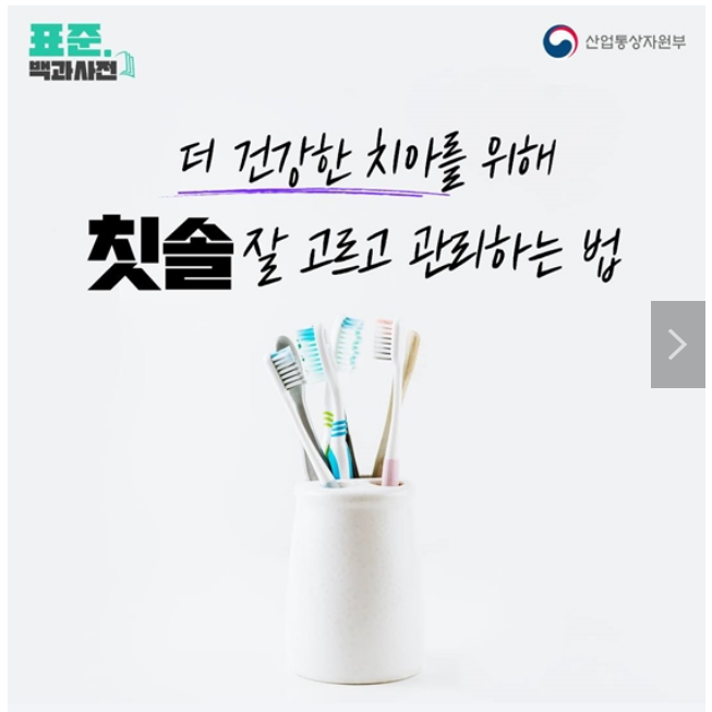 더 건강한 치아를 위한 칫솔 선택과 관리법 더 건강한 치아를 위한 칫솔 선택과 관리법