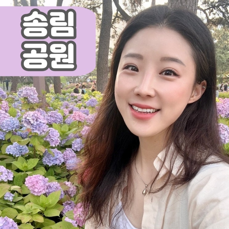  해운대 송림공원 태종대보다  이쁜 수국 스팟 6월 부산 가볼만한 곳 여행코스 추천