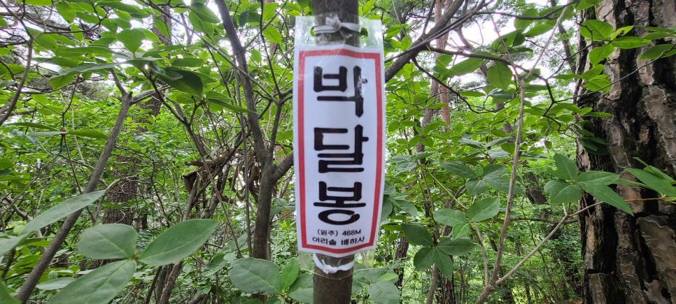 속골산 사진 6