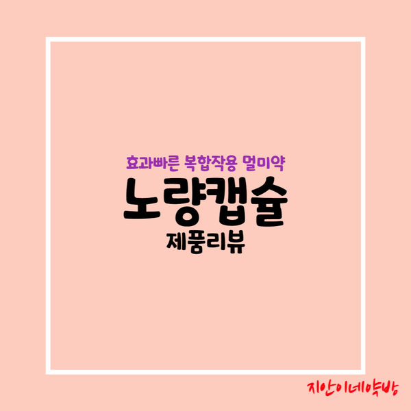  노량캡슐 :: 한국형 아네론 멀미약 약국 출시