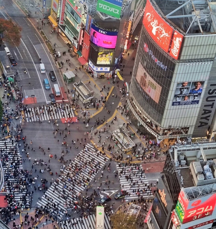 일본여행 준비 일본 입국 심사 비지트재팬 웹 visit Japan 등록방법 일본여행 준비 일본 입국 심사 비지트재팬 웹 visit Japan 등록방법