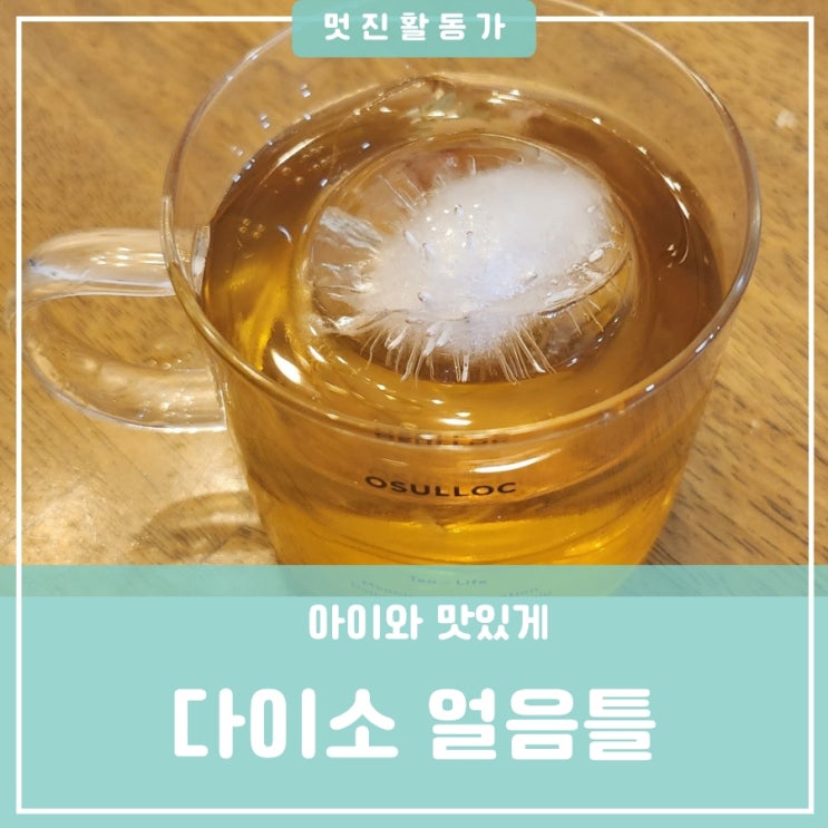 다이소 여름 대형 빅볼 3구 원형 왕얼음 얼음틀 얼음트레이 아이스트레이 추천 유아 집콕놀이 활용 다이소 여름 대형 빅볼 3구 원형 왕얼음 얼음틀 얼음트레이 아이스트레이 추천 유아 집콕놀이 활용