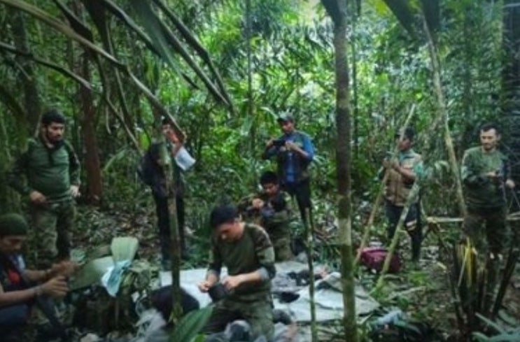 아마존 비행기 추락 콜롬비아 어린이 넷 생존,진짜 기적