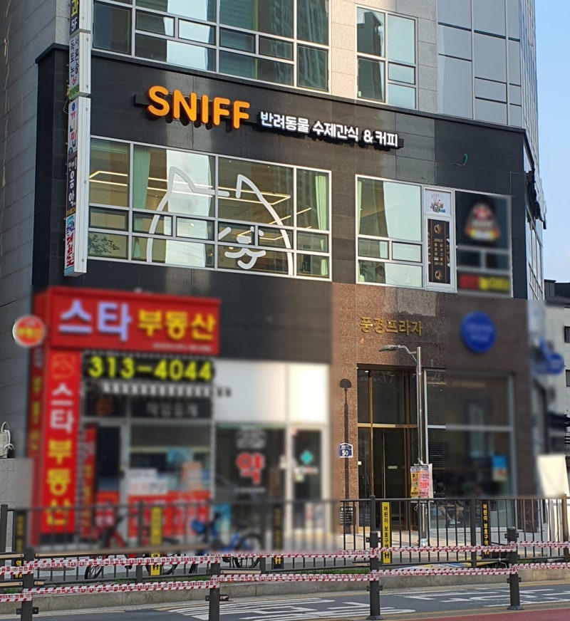 사진 5