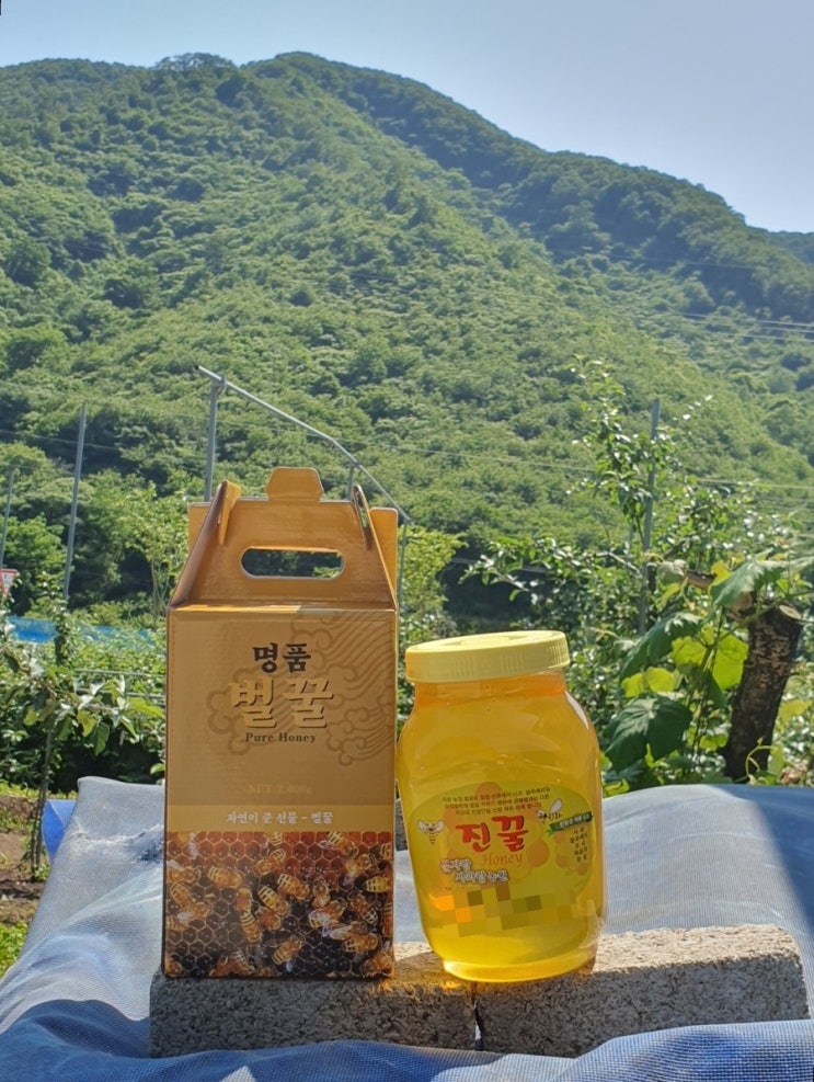  [판매] 소량만 채취하는 귀한 진꿀 100% 국산 토종 천연 벌꿀 2.4kg 산지직송
