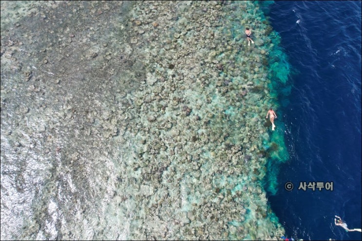  발리 북부 멘장안 섬 pulau menjangan