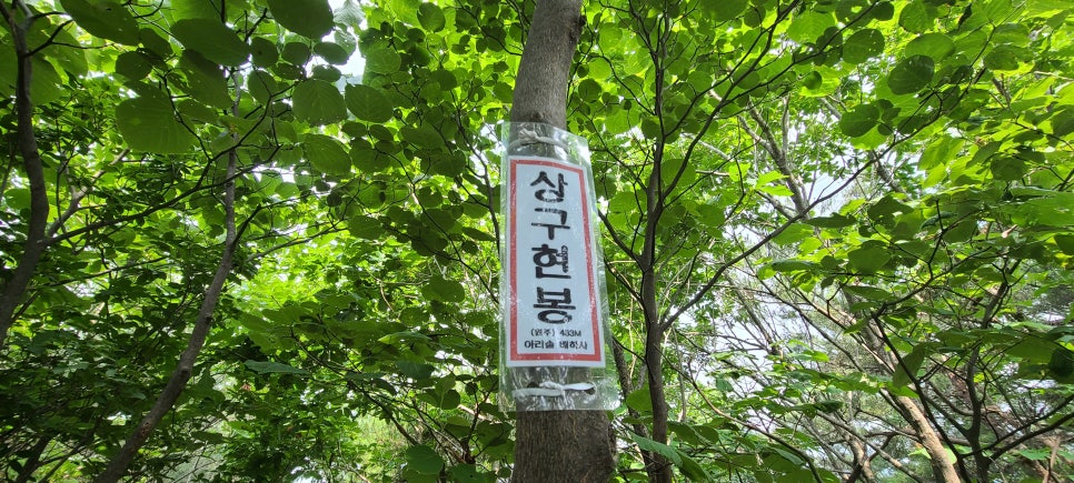 속골산 사진 5