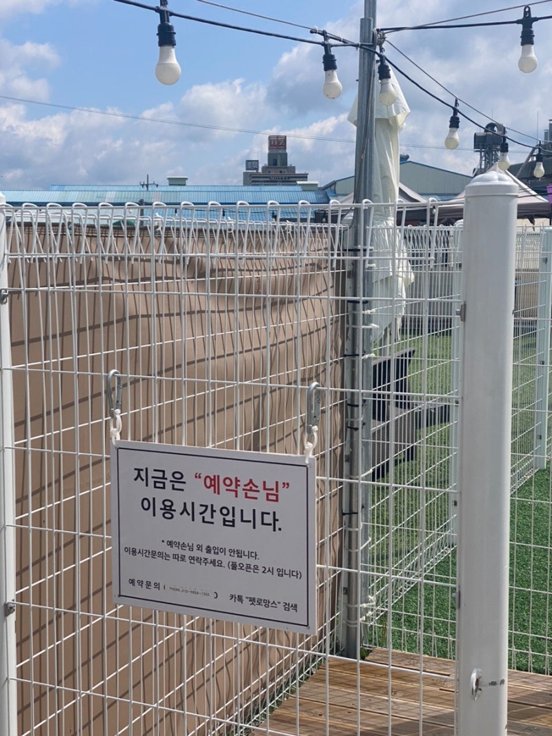 사진 2