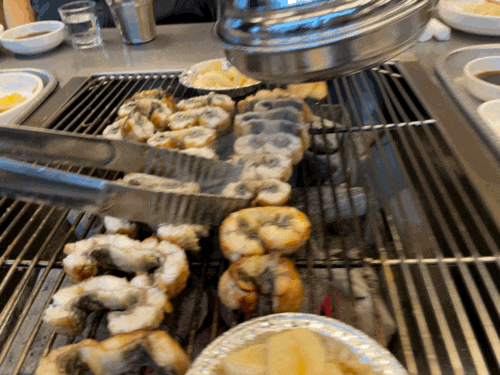  대전 * 변동 : 장어맛집 백마강 참숯민물장어 가성비좋은 가족모임 장어구이집 내돈내산