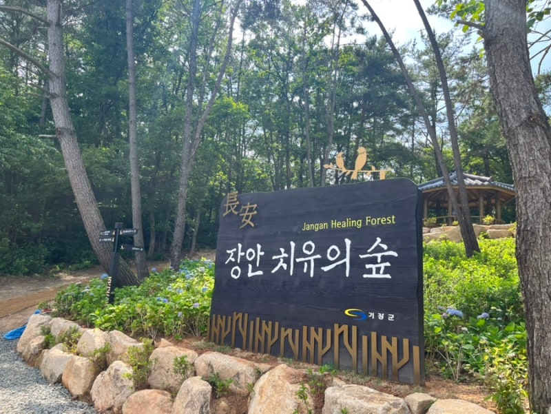'장안 치유의 숲' 다녀왔어요 ♪