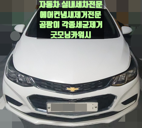 구로동 실내세차 크루즈 에바크리닝효과