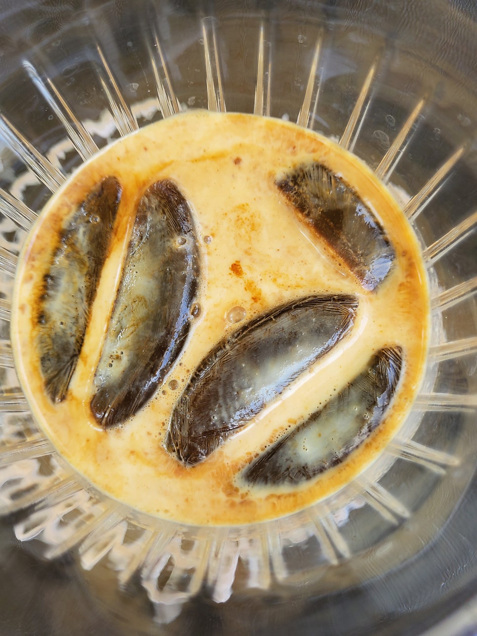 카페칸 사진 6