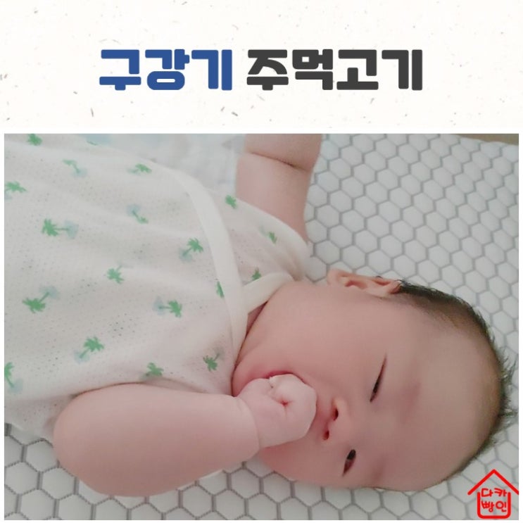  주먹고기 먹는 구강기 언제까지인가요
