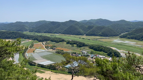  경북 예천군 회룡포 전망대 감상기