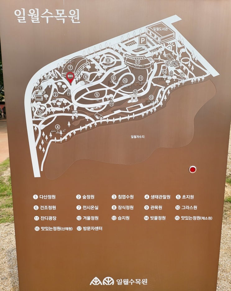  [수원/식목원] 수원 일월식목원 방문 후기(6월10일 입장료 없음)