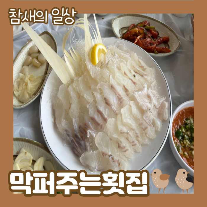 태안 안면도 '막퍼주는횟집' 회+조개찜 2인 먹방 후기