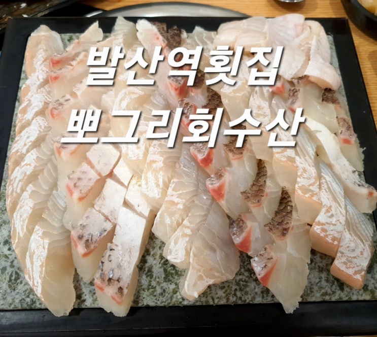  마곡동/ 발산역횟집 뽀그리회수산 신선한 제철회 & 물회 맛집