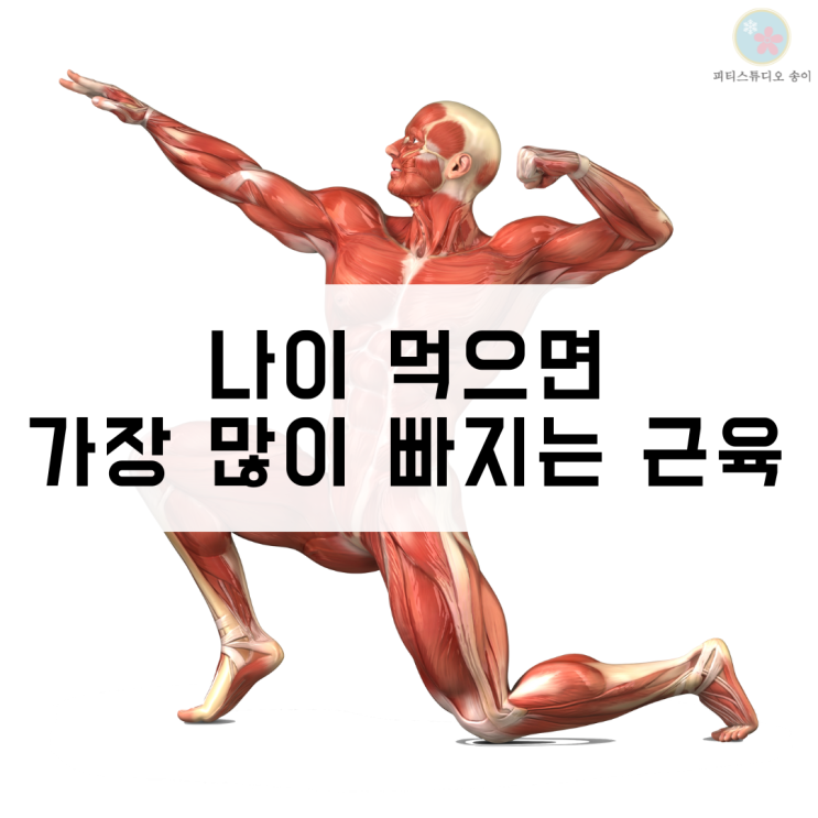  나이 먹으면 어떤 근육이 많이 빠질까? 근감소증