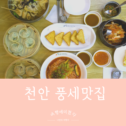  망향비빔국수 풍세점 충남 천안 비빔국수 만두 풍세맛집 아산 호서대맛집