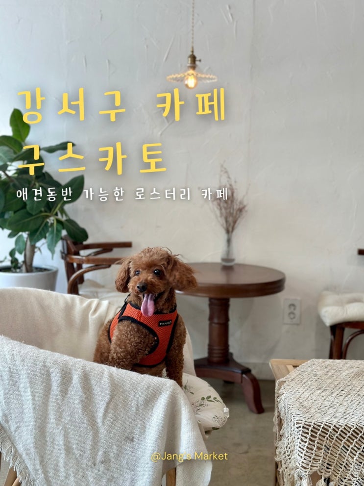  강서구 애견동반 카페 아늑한 벽돌집 감성의 커피 한잔 구스카토