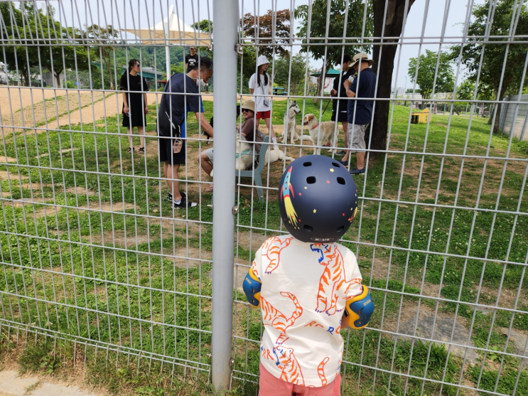  용인 기흥레스피아 자전거도 타고, 반려견 놀이터도 있는 공원 (주차팁)