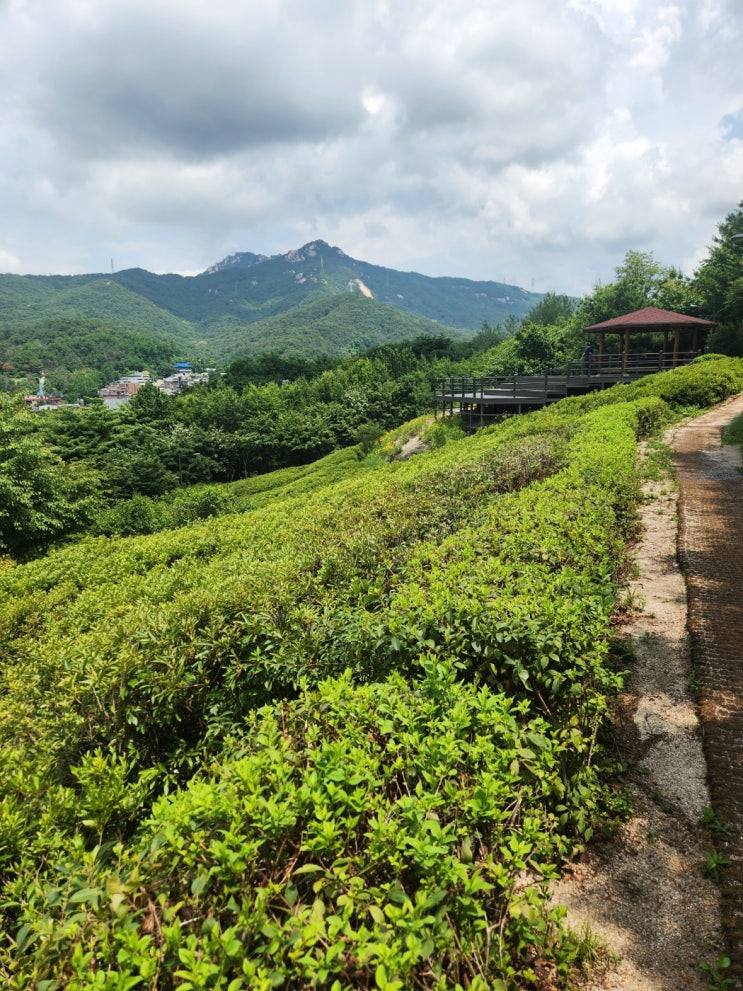  [서울둘레길 1코스] 역방향(화랑대역~도봉산역) 완주 후기