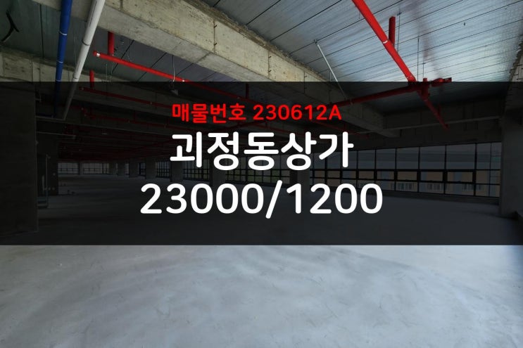  대전 괴정동 상가 초대형평수 신축 첫입주