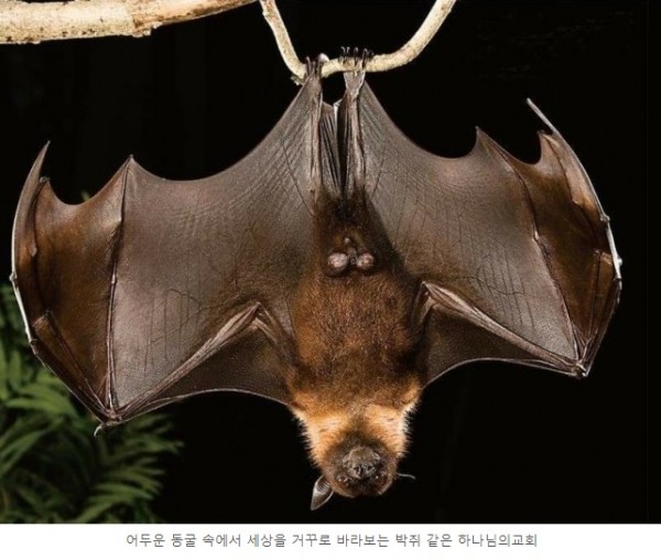 지역장과의 대화3) 세상과 단절된 하나님의교회