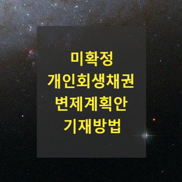  미확정 개인회생채권에 관한 변제계획안 기재방법