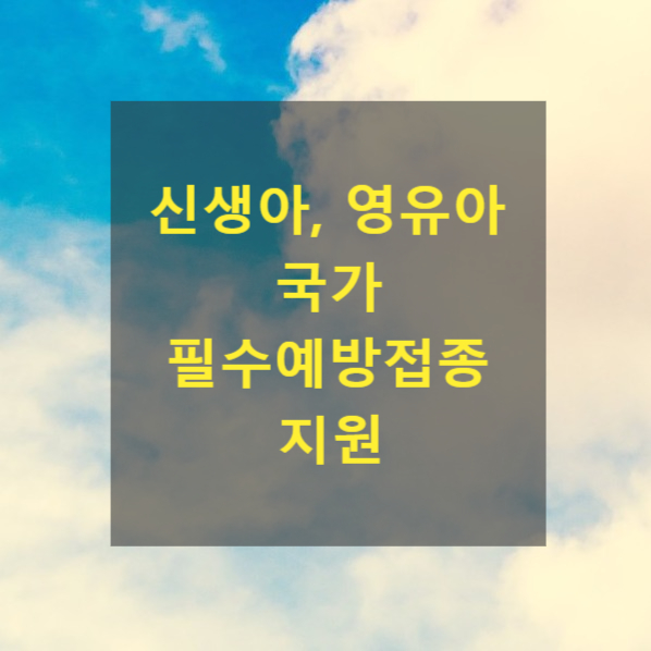  <복지>신생아의 건강관리 및 양육 지원-국가 필수예방접종 지원(신생아, 영유아, 자녀)