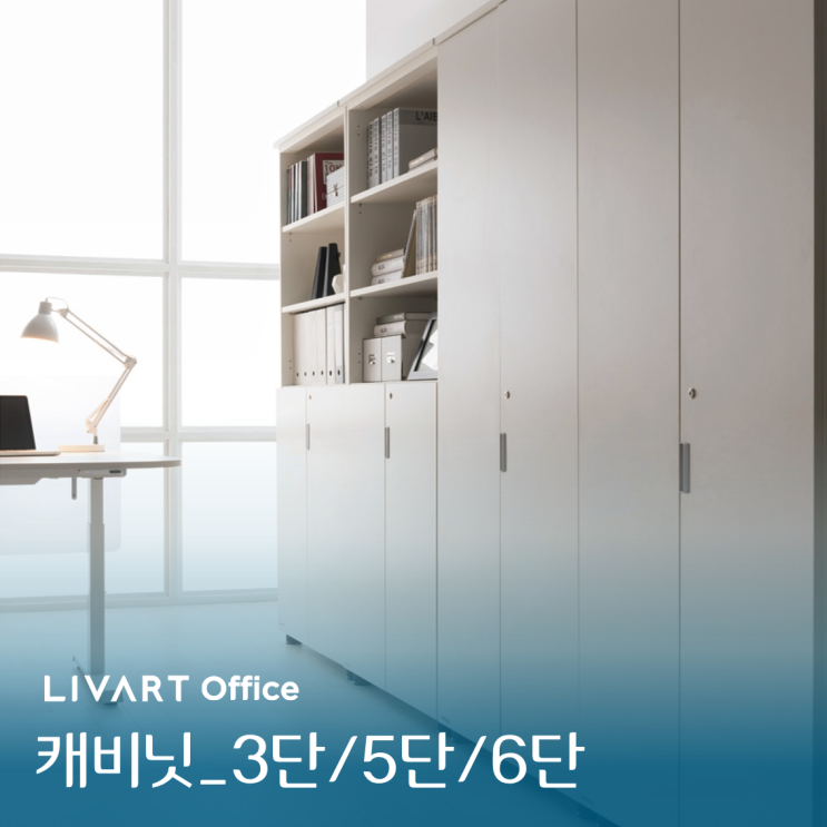  "캐비넷" 다양한 크기와 시건장치를  선택할 수 있는 캐비넷