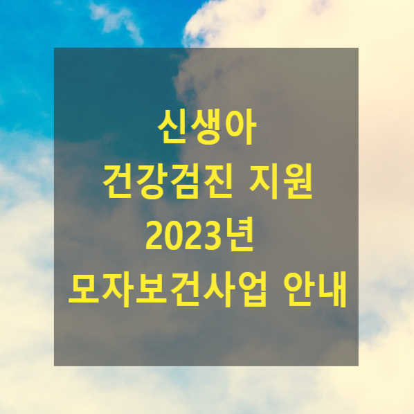  <복지>신생아의 건강관리 및 양육 지원-신생아 건강검진 지원(2023년 모자보건사업 안내)