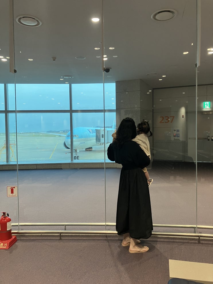  베트남 나트랑 여행1 트래블월렛 카드, 대한항공 베시넷, 르모어호텔
