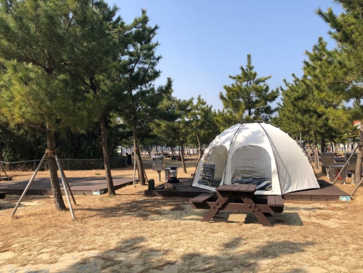캠핑장 체크인 챌린지. 동해 망상제2오토캠핑장. 캠핑장 체크인 챌린지. 동해 망상제2오토캠핑장.