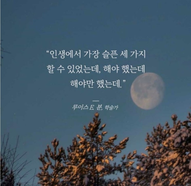  부거사이 [부동산 뉴스와 블로그] 6월 12일(월)