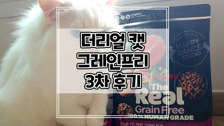  하림펫푸드 더리얼캣 그레인프리 백묘백일 생생 체험단 3차 후기