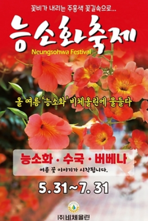  제주 능소화 여름꽃 축제 6월 제주 드라이브코스 추천