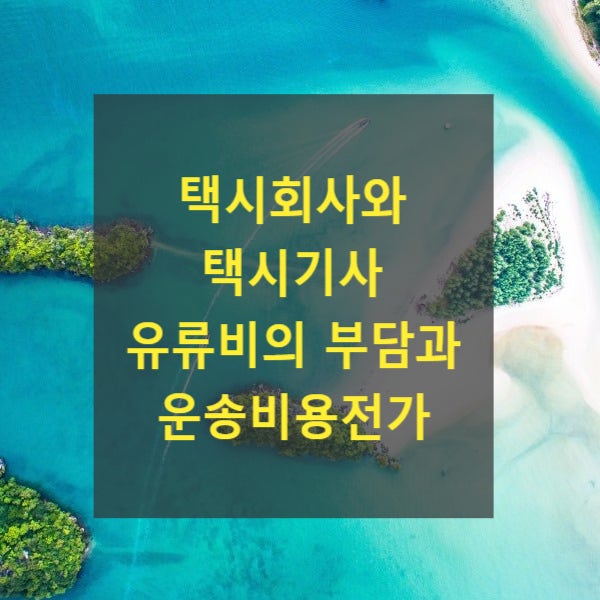  택시회사와 택시기사 유류비의 부담과 운송비용전가
