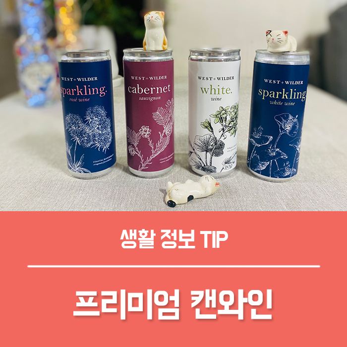  편의점 와인 웨스트와일더 프리미엄 캔와인 추천