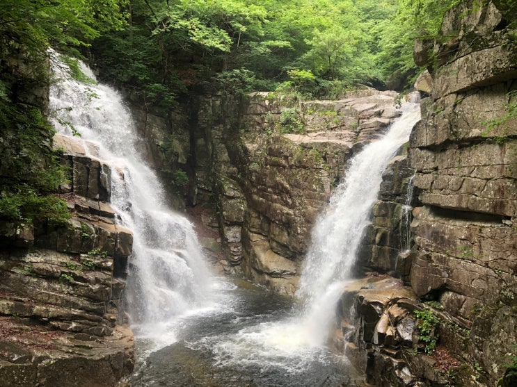  법률상담-상속인이 상속포기 신청 후 상속재산 처분시 상속포기의 효력과 단순상속