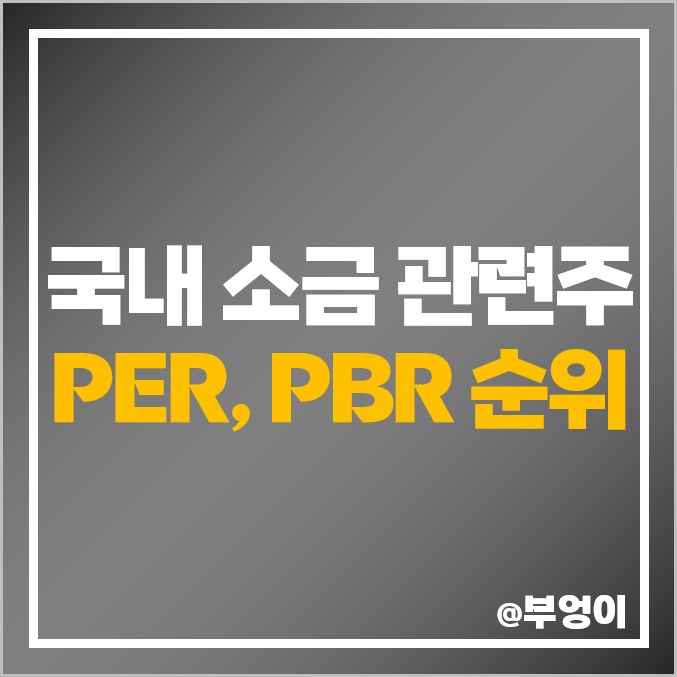 소금 관련주, 테마주, 수혜주 종류 정리 : 국내 주식 주가 PER PBR 순위 소금 관련주, 테마주, 수혜주 종류 정리 : 국내 주식 주가 PER PBR 순위