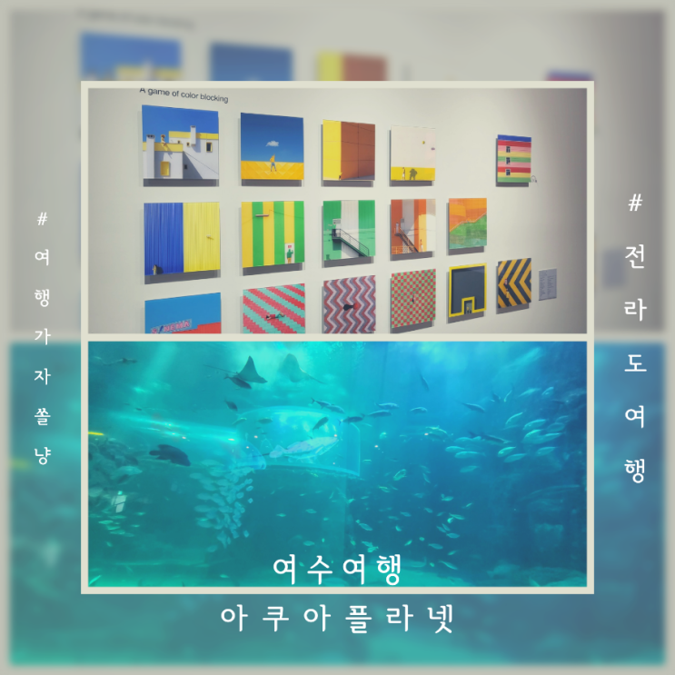  전라도여행지 여수 실내 놀거리 아쿠아플라넷 뮤지엄 관람 후기