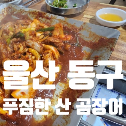  35년 맛집 : 울산 동구 푸짐한 산 곰장어