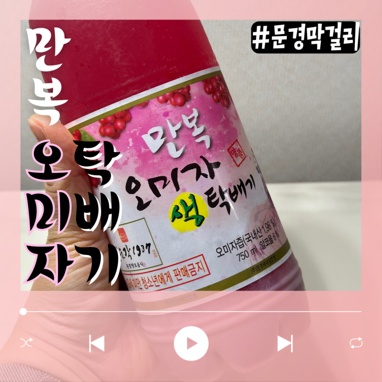  문경 오미자 막걸리 25탄