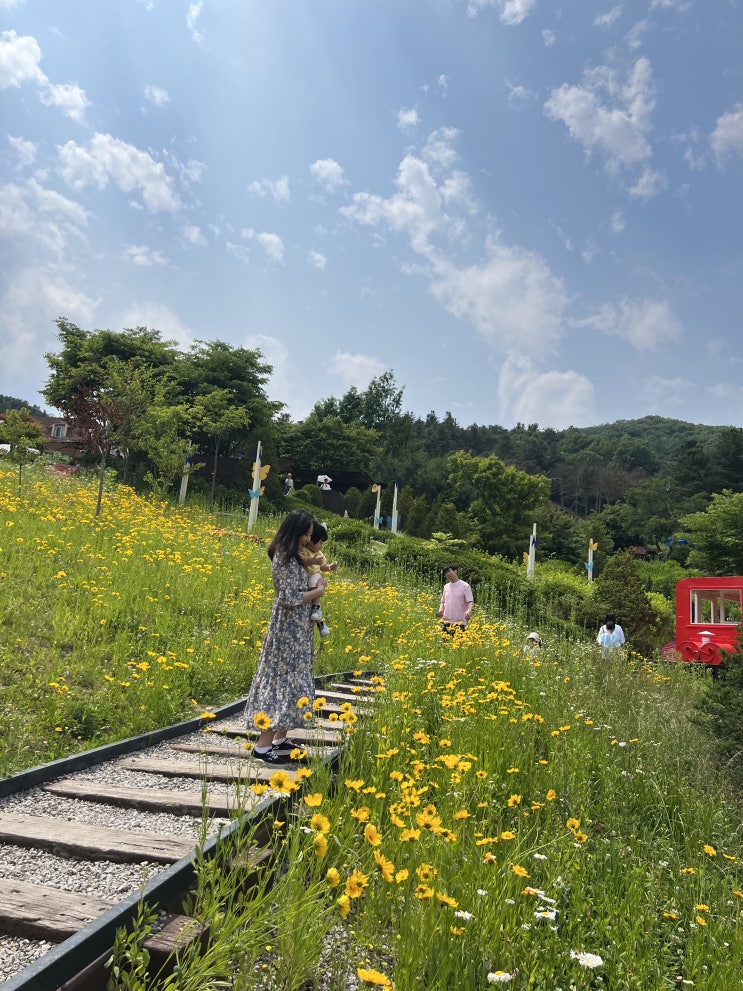  가평 에델바이스 스위스 테마파크 / 돌쟁이 아기와 함께 / 서울근교 가볼만한곳 / 플라워 슬라이드 (2)