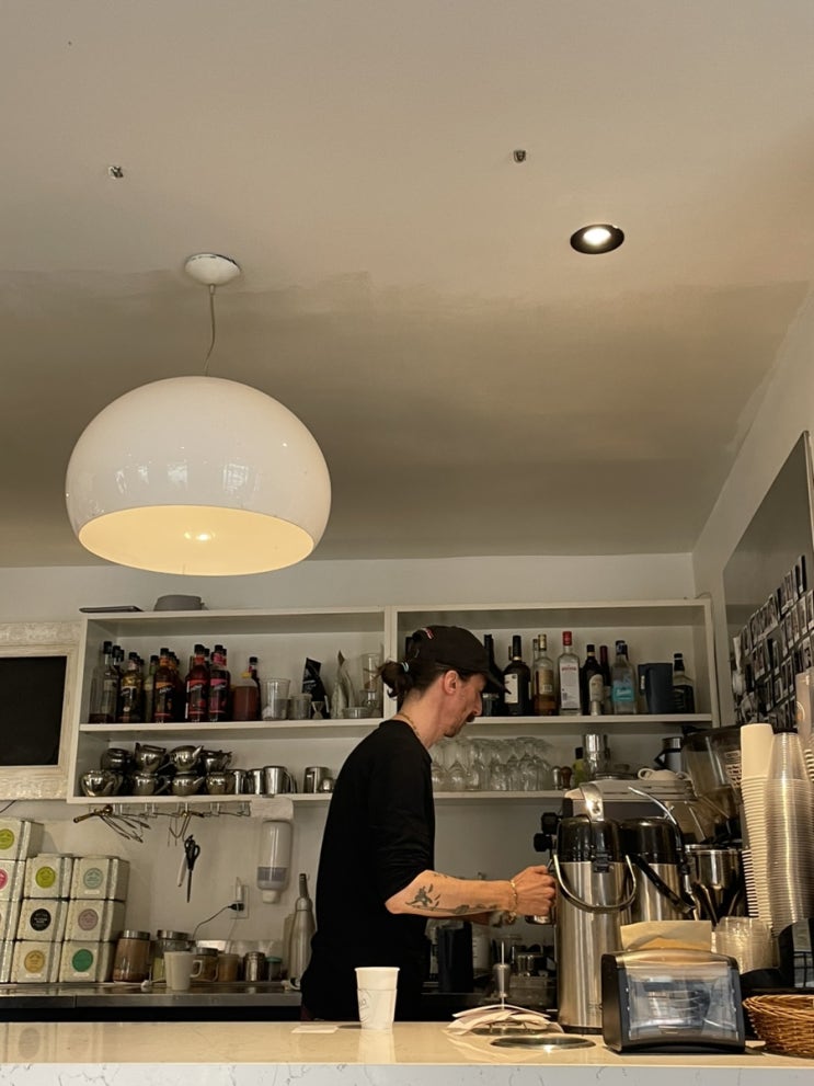  2023.Ep.503.캐나다 토론토 하이파크 카페 맛집 추천: baka gallery cafe, palmer cafe