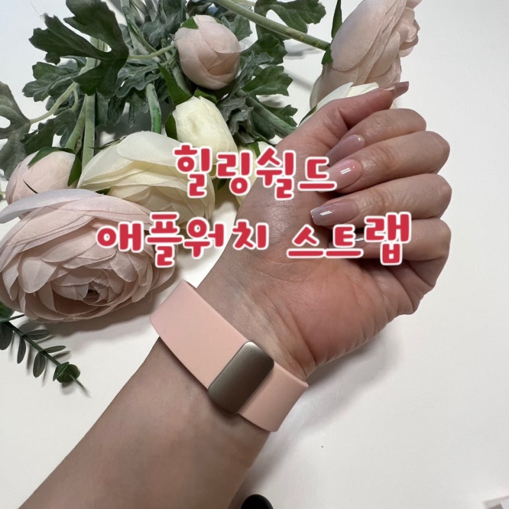 애플워치스트랩 / 마그네틱으로 간편하게 착용 / 힐링쉴드