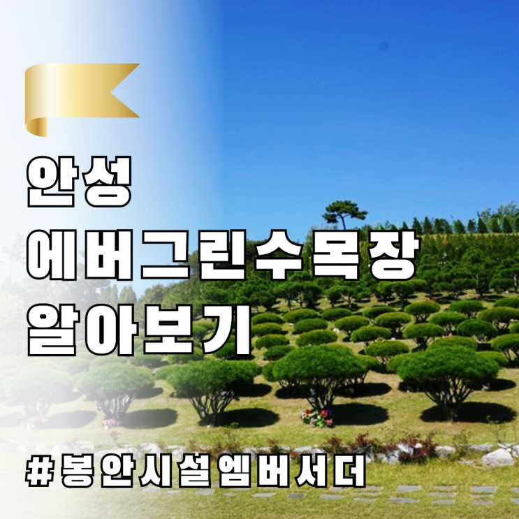  안성수목장 에버그린수목장 알아보기